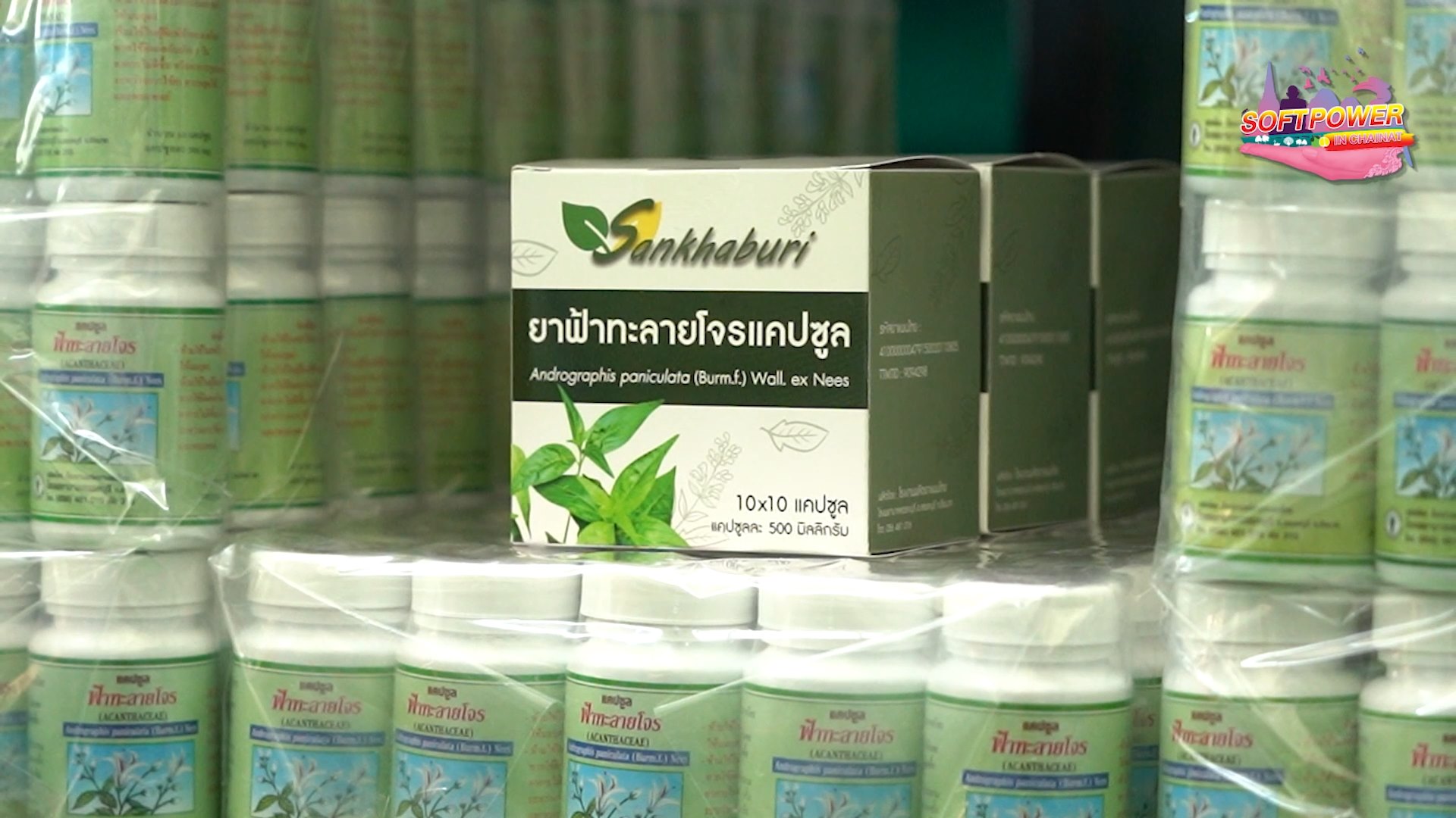 🔴โครงการประชาสัมพันธ์สนับสนุน Soft Power จังหวัดชัยนาท ประจำปีงบประมาณ พ.ศ.2567 ตอน ยาสมุนไพร รพ.สรรคบุรี